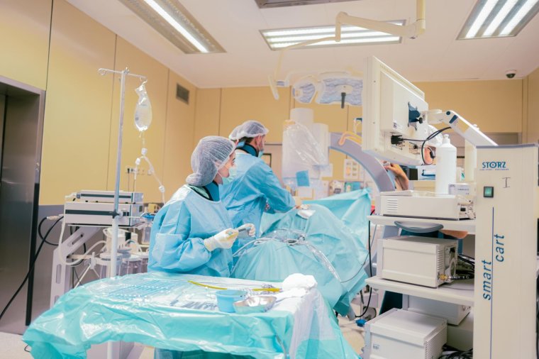 Tudnivalók a hantavírus-fertőzésről a WHO közlései alapján