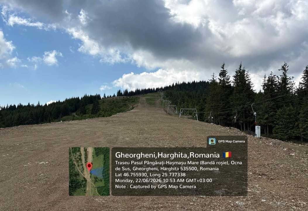 környezet