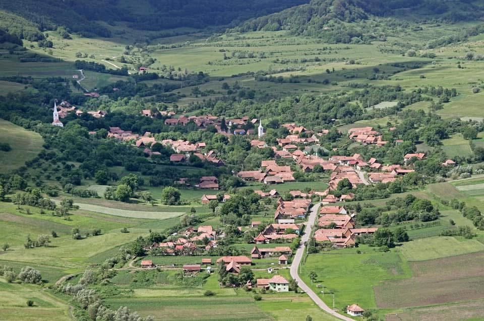 református