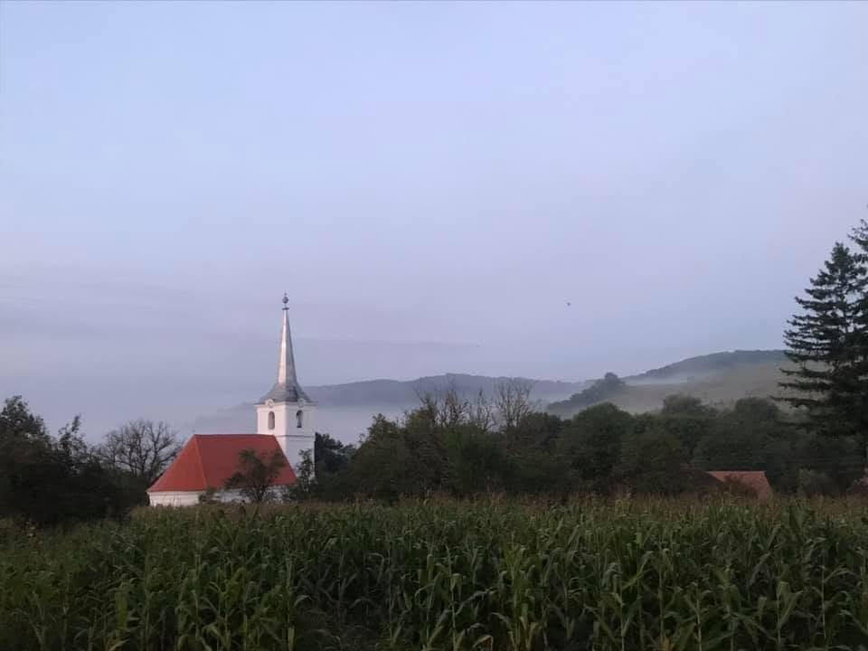 református