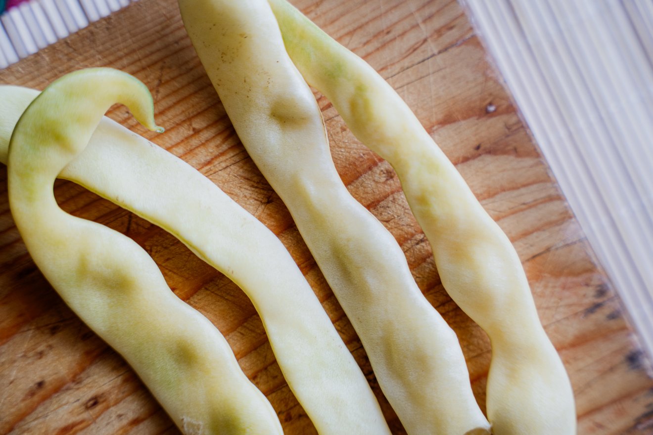 zöldbab