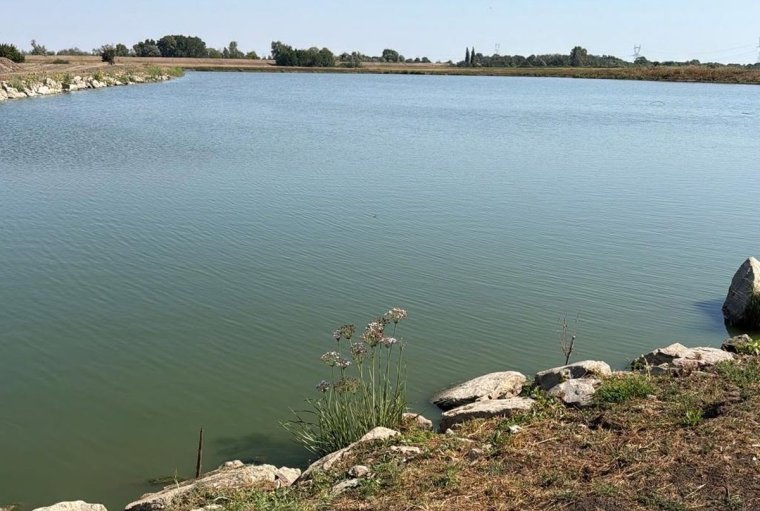 RMDSZ-es polgármester érdekeltségi körébe tartozó cégre szállt rá a környezetvédelem a vízkorlátozások megszegése miatt