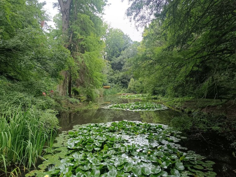Erdély elfeledett főúri parkjai: ahol a fák évszázadok óta őrzik a múltat