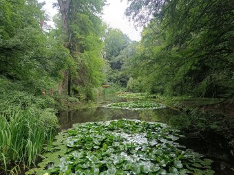 Erdély elfeledett főúri parkjai: ahol a fák évszázadok óta őrzik a múltat