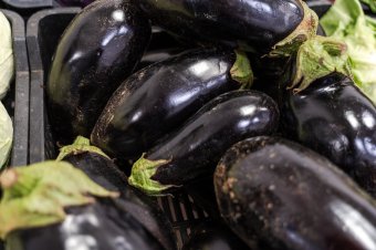 Nemcsak a megszokott erdélyi-balkáni krémként készíthető el a padlizsán