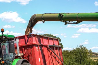 Drágul a román búza, de az ukrán export bármikor letörheti az árakat