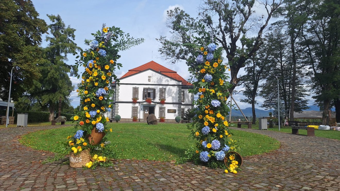 Koltó
