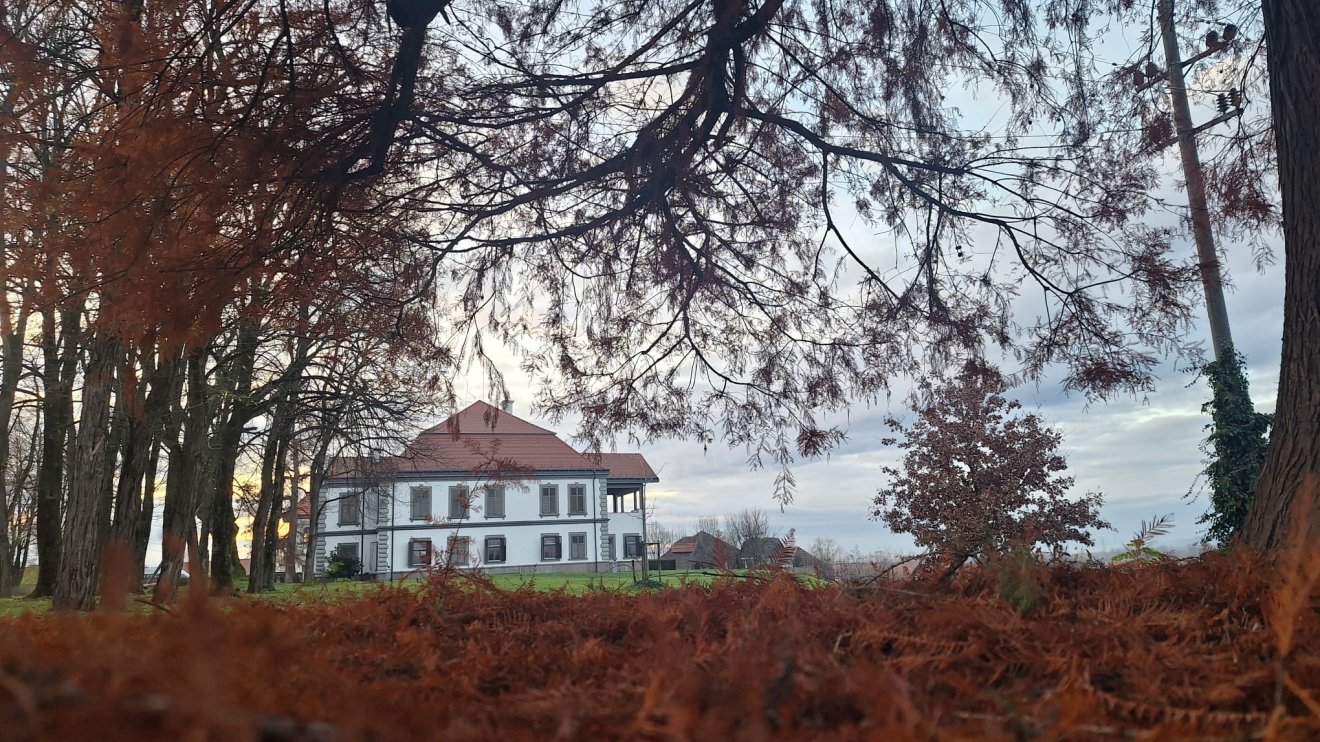 Koltó
