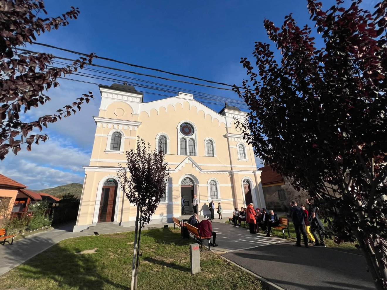 zsidó