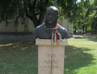 Wass Albert-ábrázolásként több Vándor székely-szobormásolat található Magyarországon