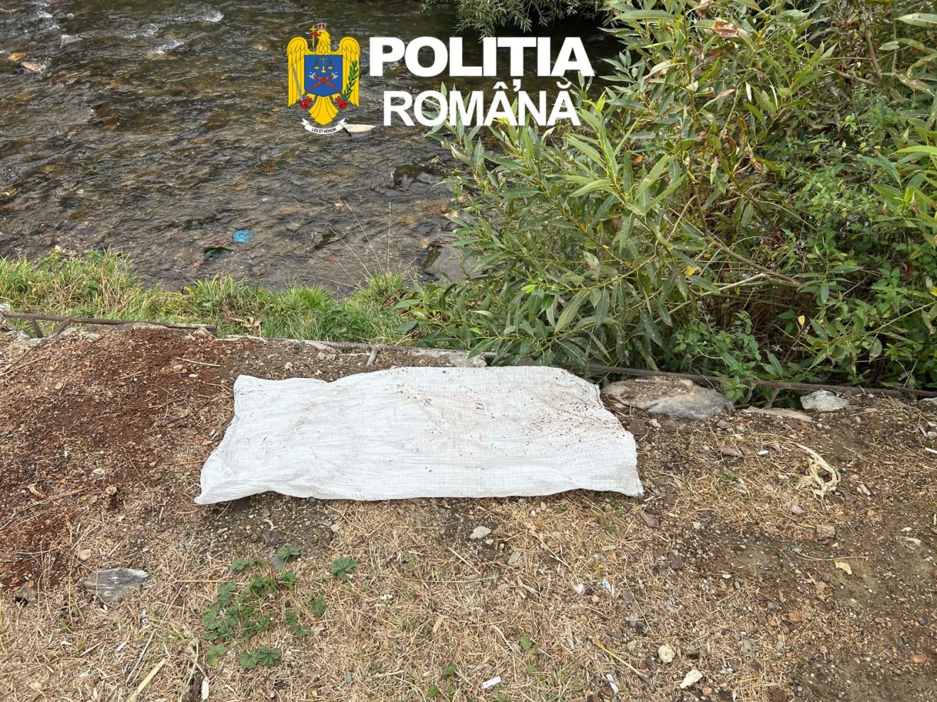 zsák