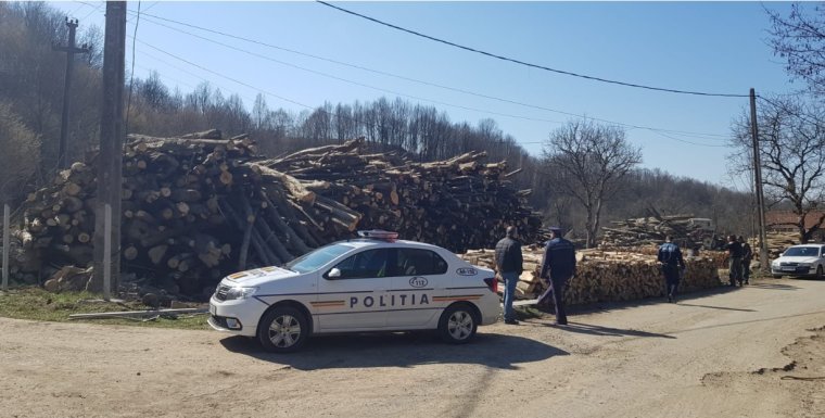 Erdészeti bűncselekmények: teherautót koboztak el, férfit vettek őrizetbe Bihar megyében