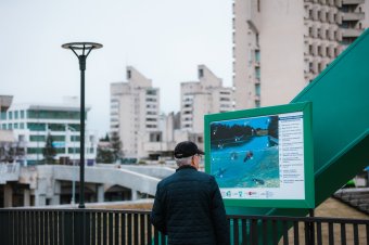Szatmáron a Szamos élővilágát, halfaunáját bemutató táblákat állítottak fel