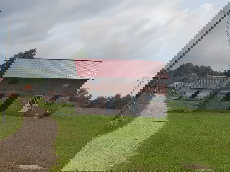 Előzetes letartóztatásba helyezték a nagybáródi összetűzés roma támadóinak egy részét