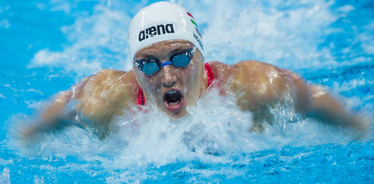 •  Fotó: Fina.org