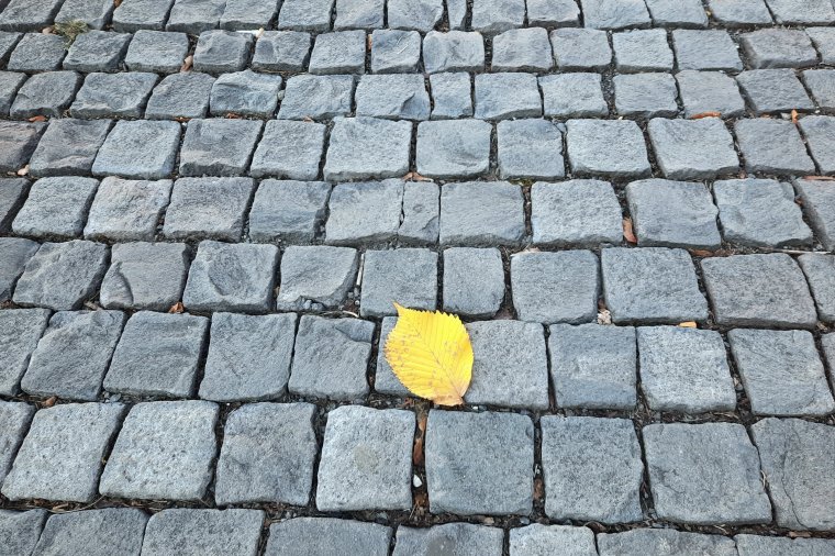 Viszlát nyár, szevasz ősz!