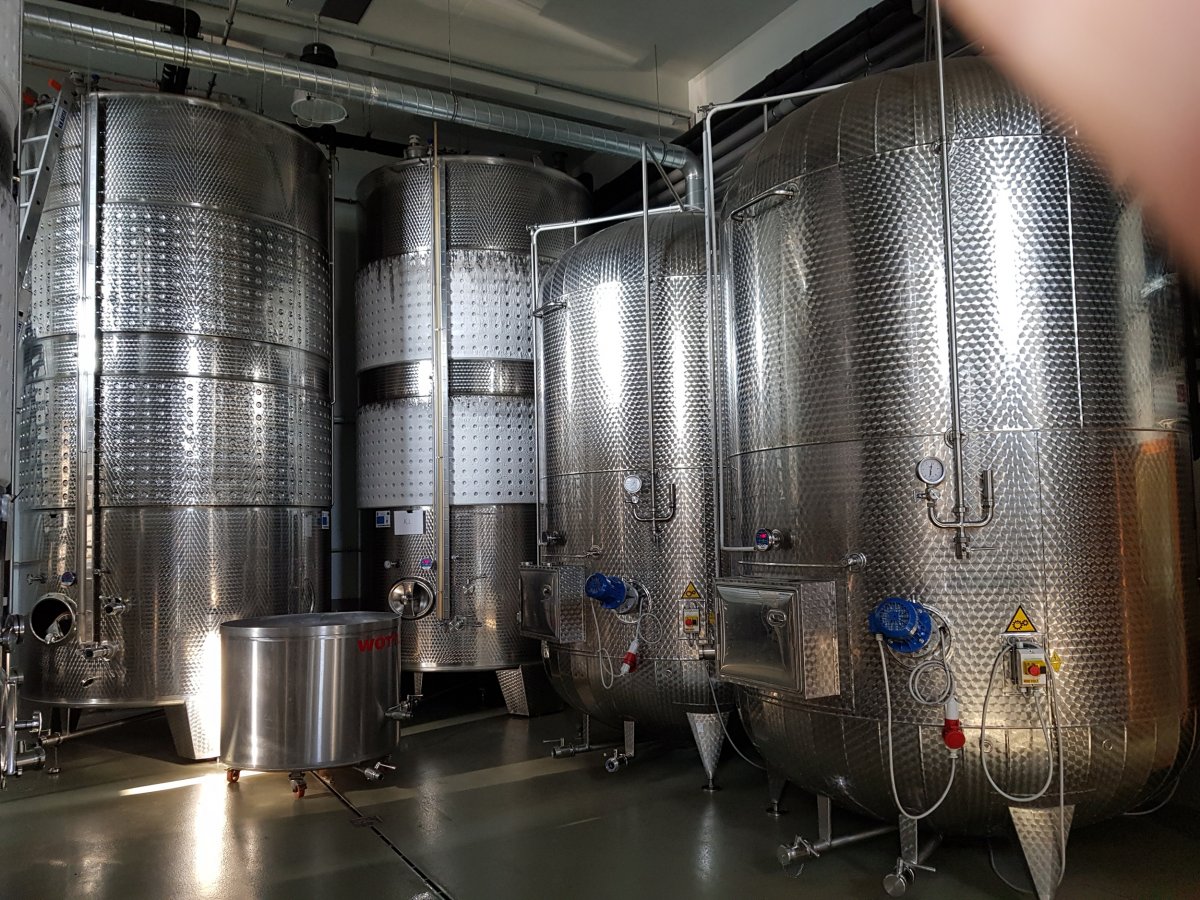 Modern borászati tartályok •  Fotó: Makkay József