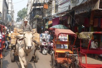 A szavakba önthetetlen színes kavalkád: India