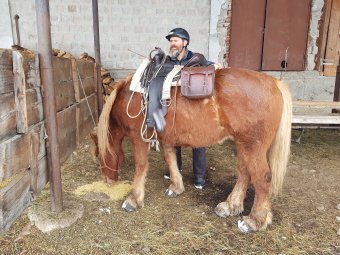 Egy lovasfarm mindennapjai