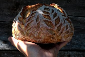 Szabó Réka: az én vásznam a kenyér
