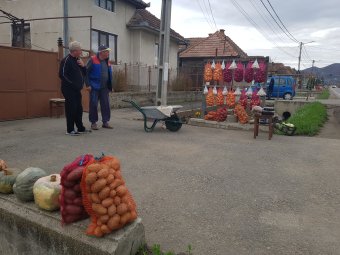 A világrekorder szilágyperecseni hagyma