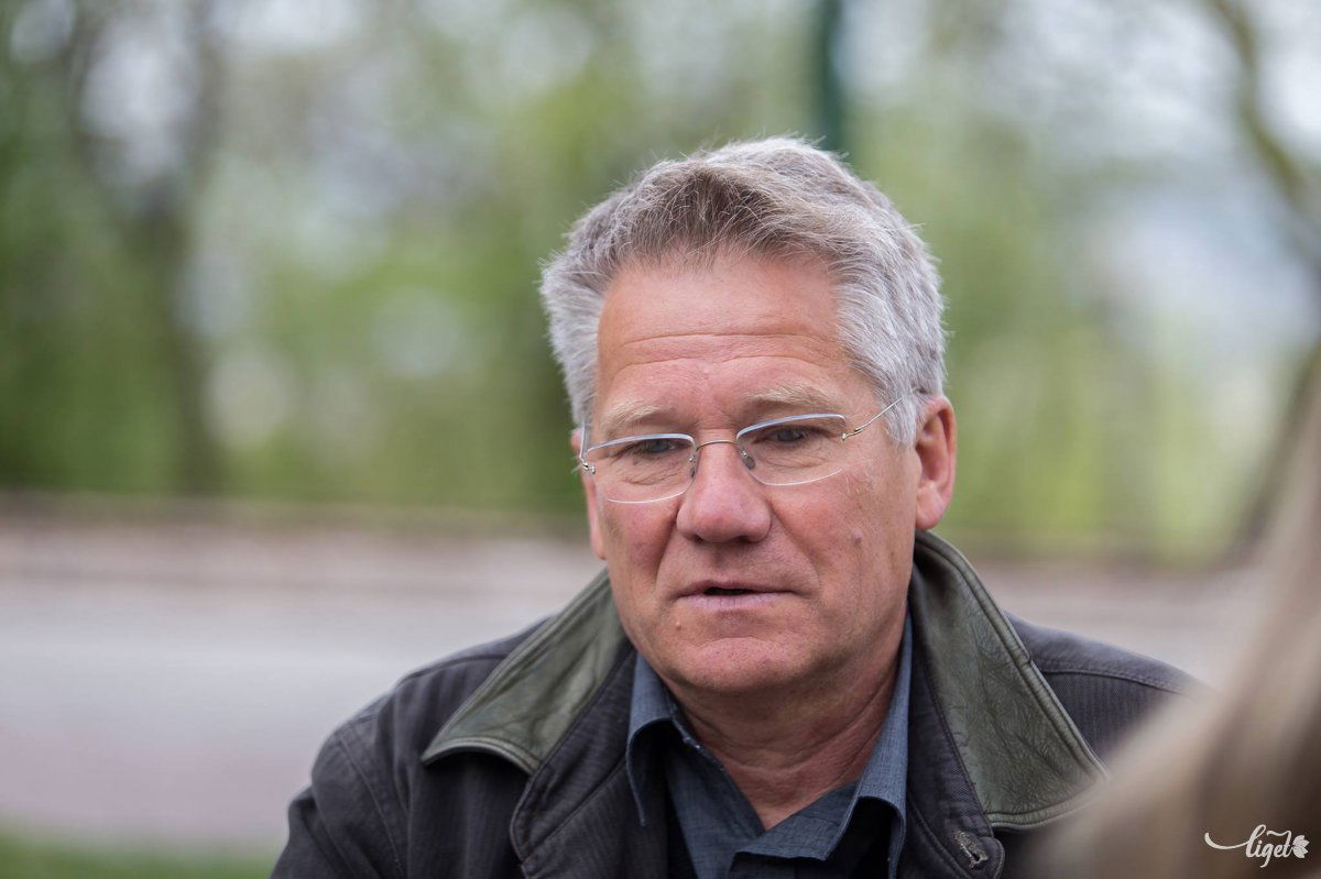 Bölöni szerint Ronaldo nem feltétlenül a vonzó fizetés miatt igazolt az Öreg Hölgy csapatába. Archív •  Fotó: Boda L. Gergely