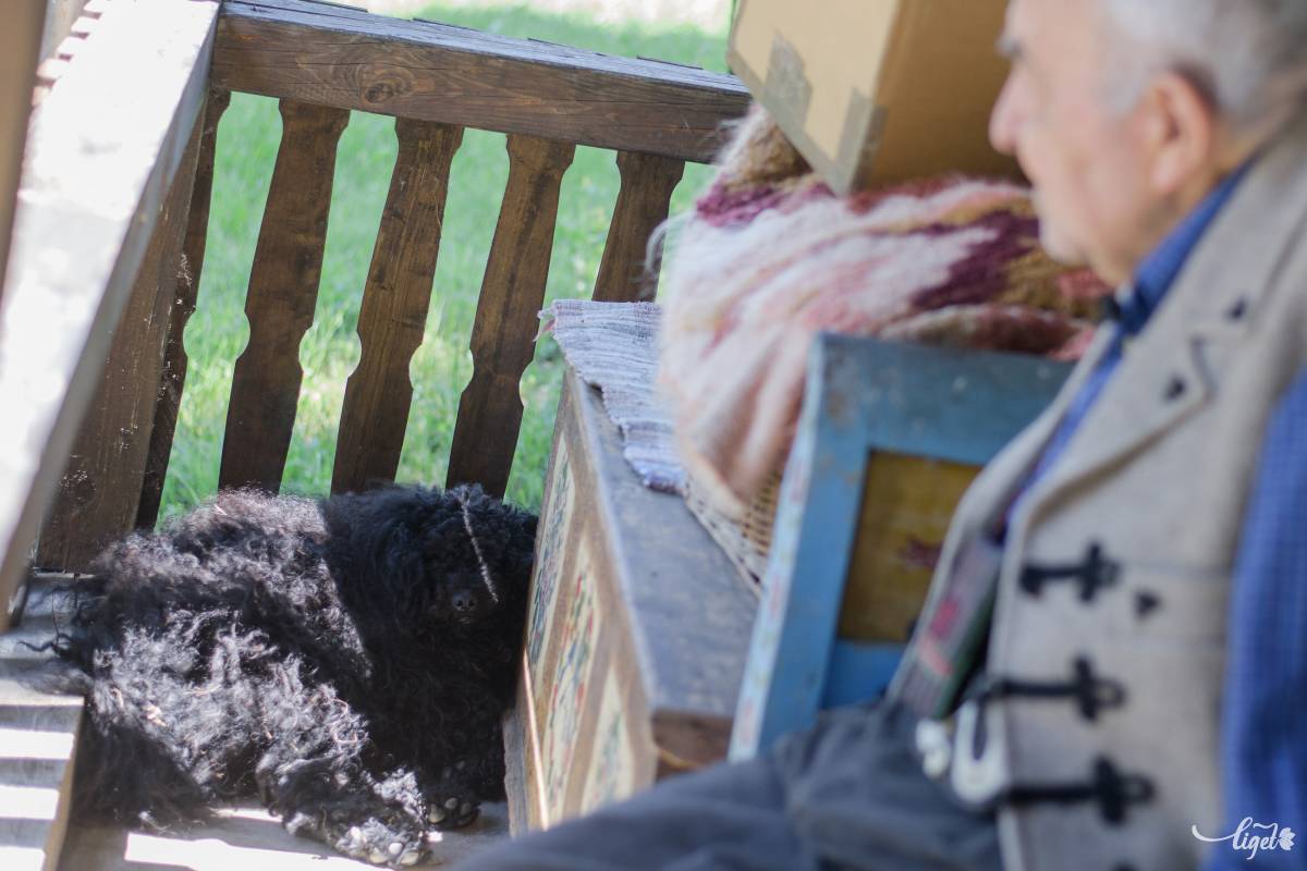 Manapság ajándékba kapott pulikutyájával pihen gyakran a tornácon •  Fotó: Biró István
