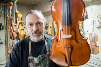 Fémtől fáig, gitártól a hegedűig