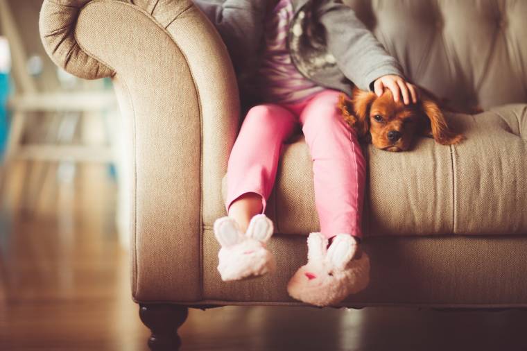 Kutya a tömbházban – lehetséges, de nagy felelősség
