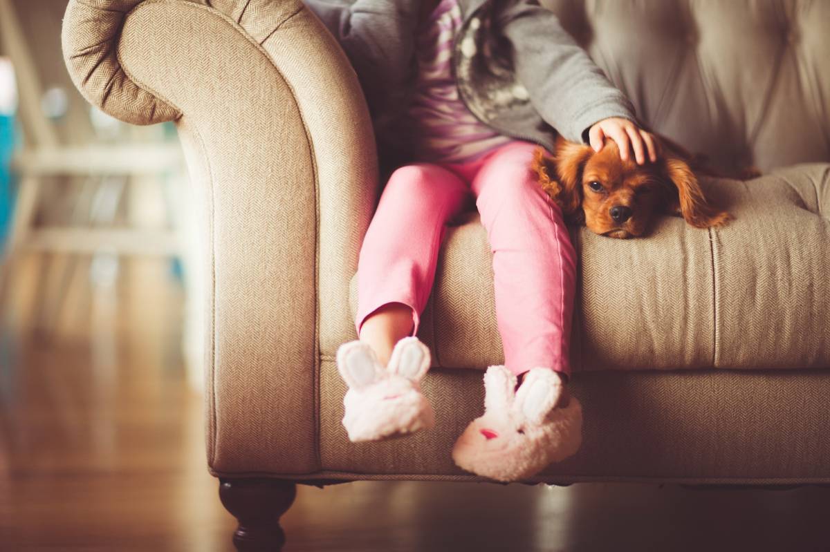 A társasági kutyák tökéletesek lakásba is •  Fotó: Pixabay.com