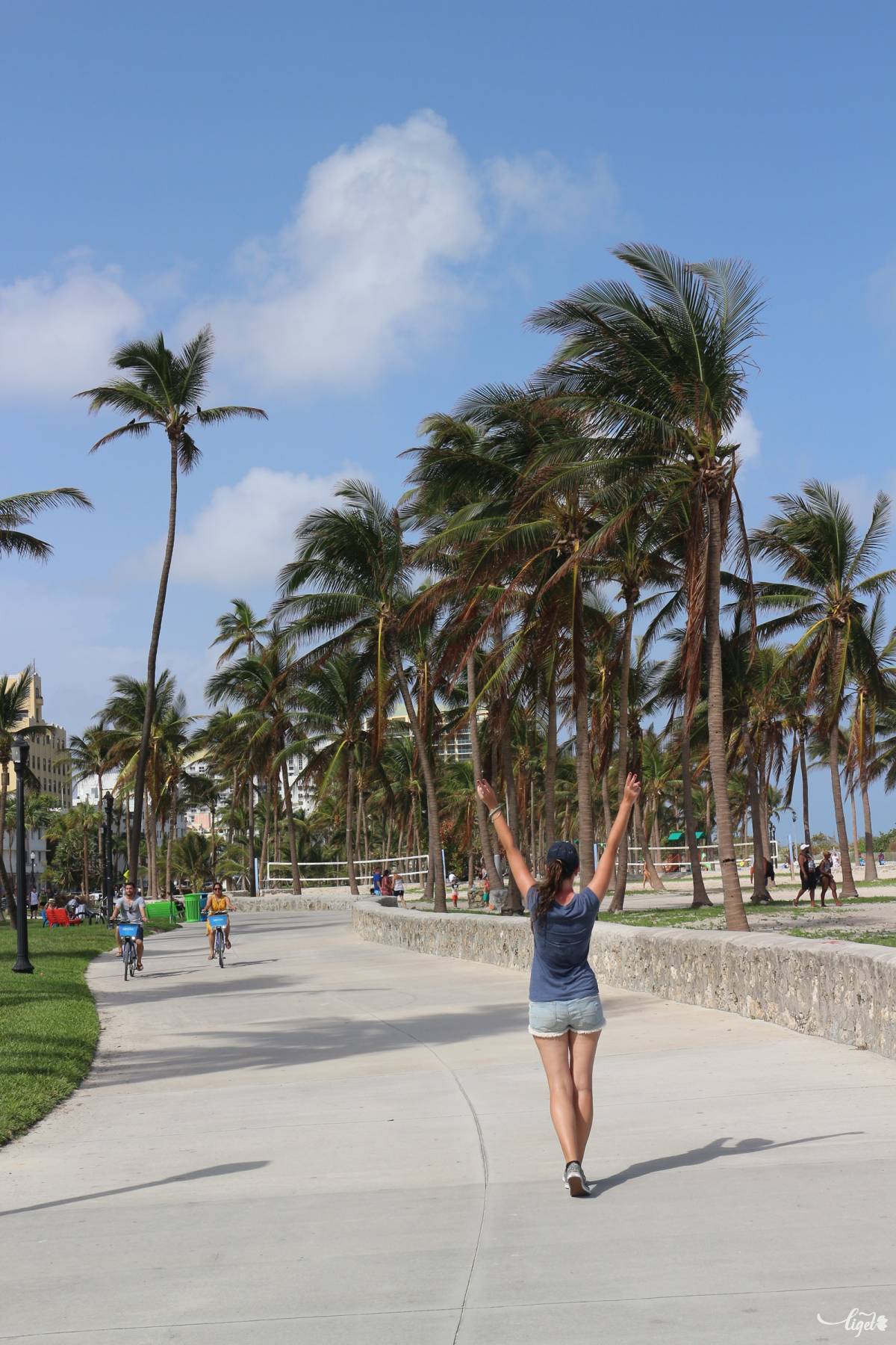 Miami •  Fotó: Biró Kinga