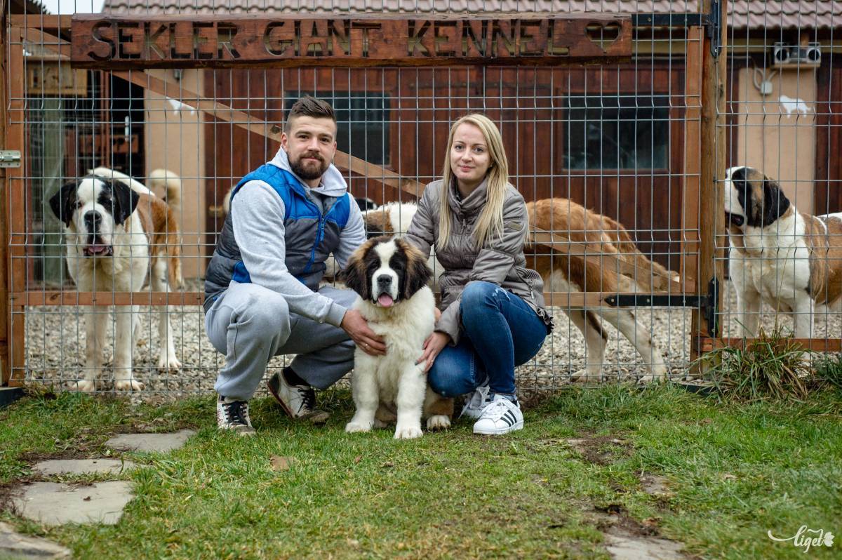 A hokikapus és felesége, Gabriella. Családi kedvencek •  Fotó: Gecse Noémi