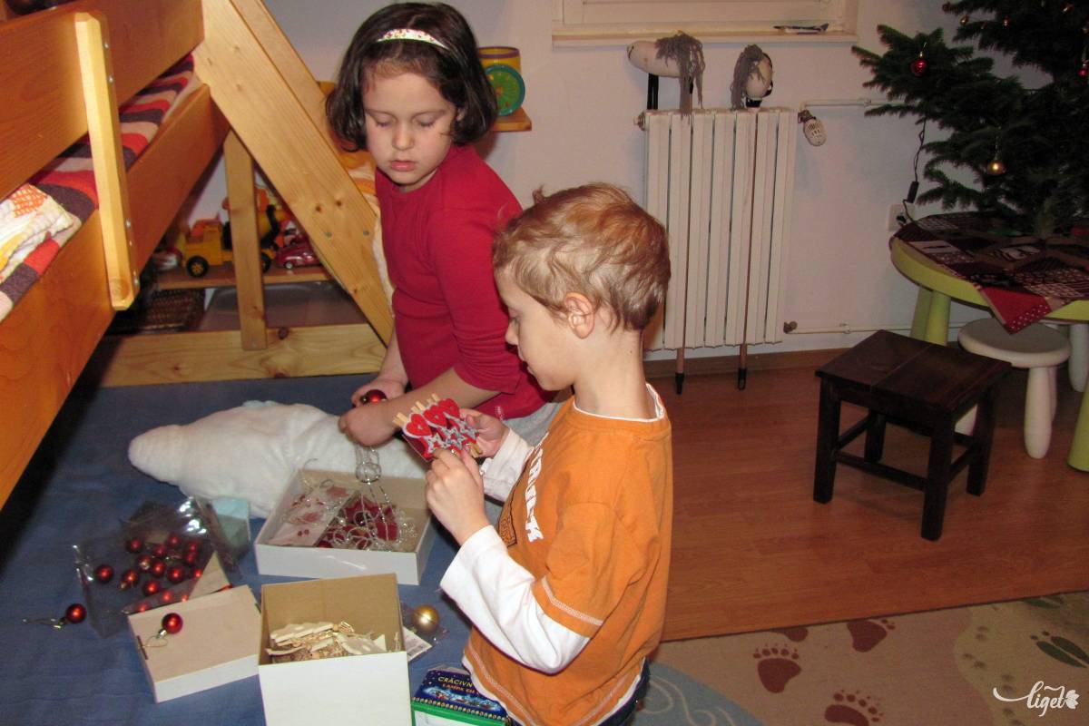 •  Fotó: Sulyok Anna