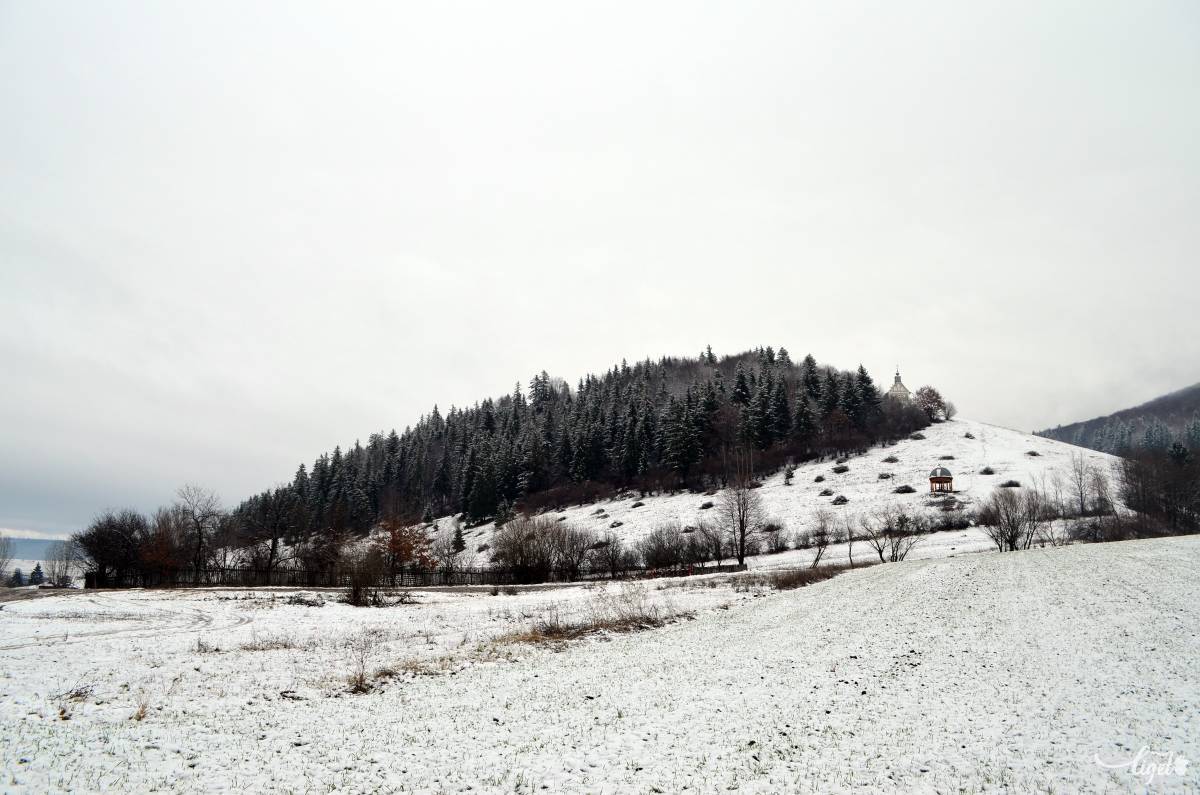 •  Fotó: Jánosi Csaba