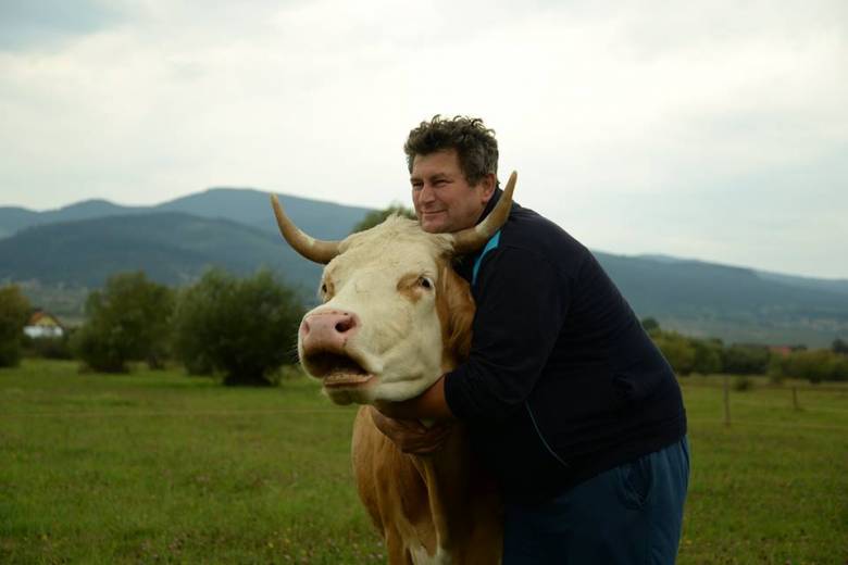 Bányász József. Most 5 felnőtt munkatársa van, és vannak növendékek is, valamennyien szarvasmarhák 