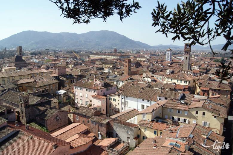 Lucca madártávlatból •  Fotó: Csermák Zoltán