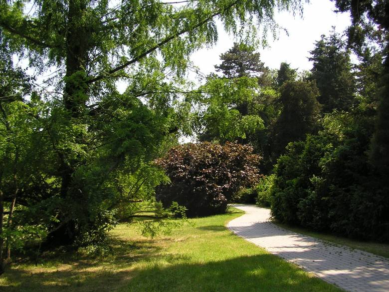 Szarvas legismertebb látnivalója az arborétum •  Fotó: Hanyecz Katalin