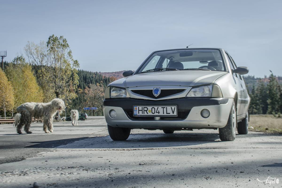 A lökhárító és a visszapillantó is jelezte, hogy valamire készül a Dacia •  Fotó: Pinti Attila