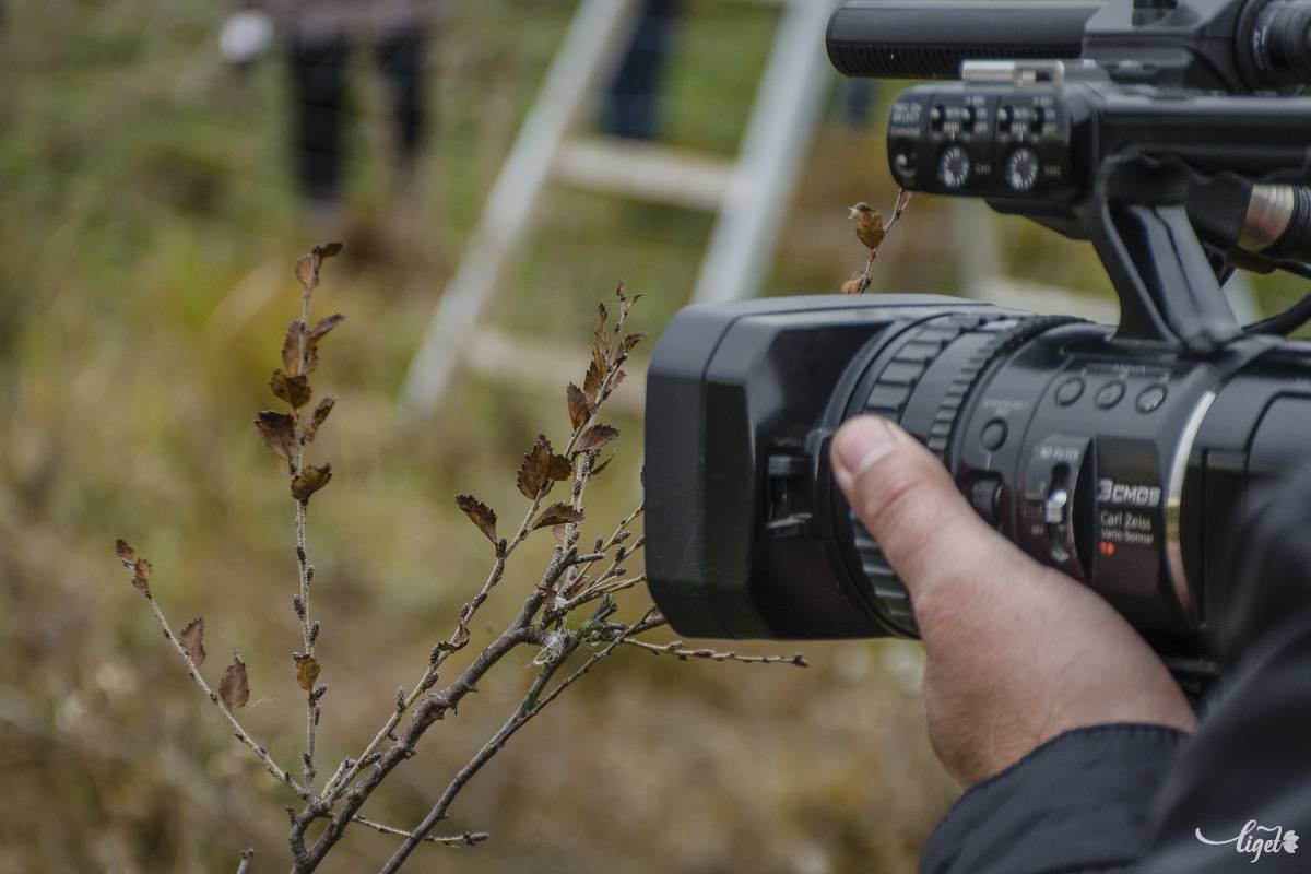 Hargita megyében minden települést Natura 2000-es természetvédelmi terület vesz körbe •  Fotó: Pinti Attila