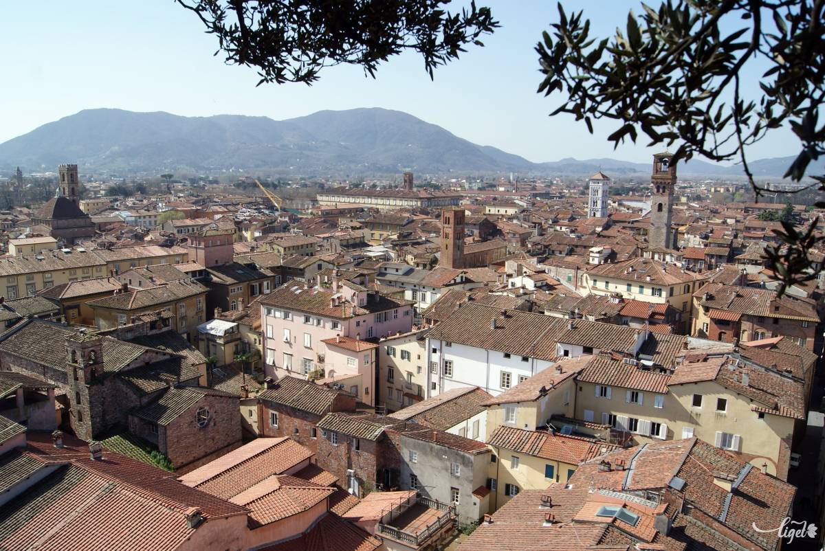 Lucca madártávlatból •  Fotó: Csermák Zoltán
