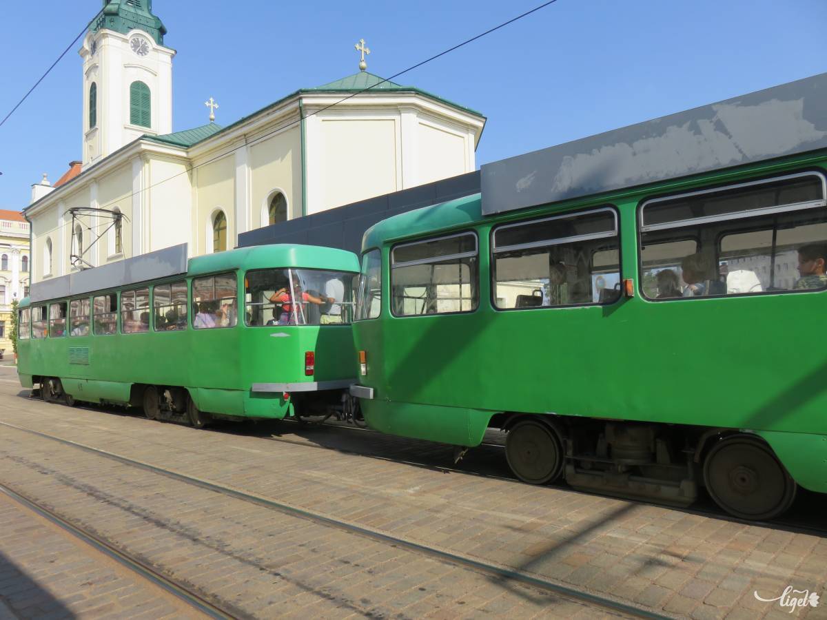 A zöld villamos •  Fotó: Antal Erika