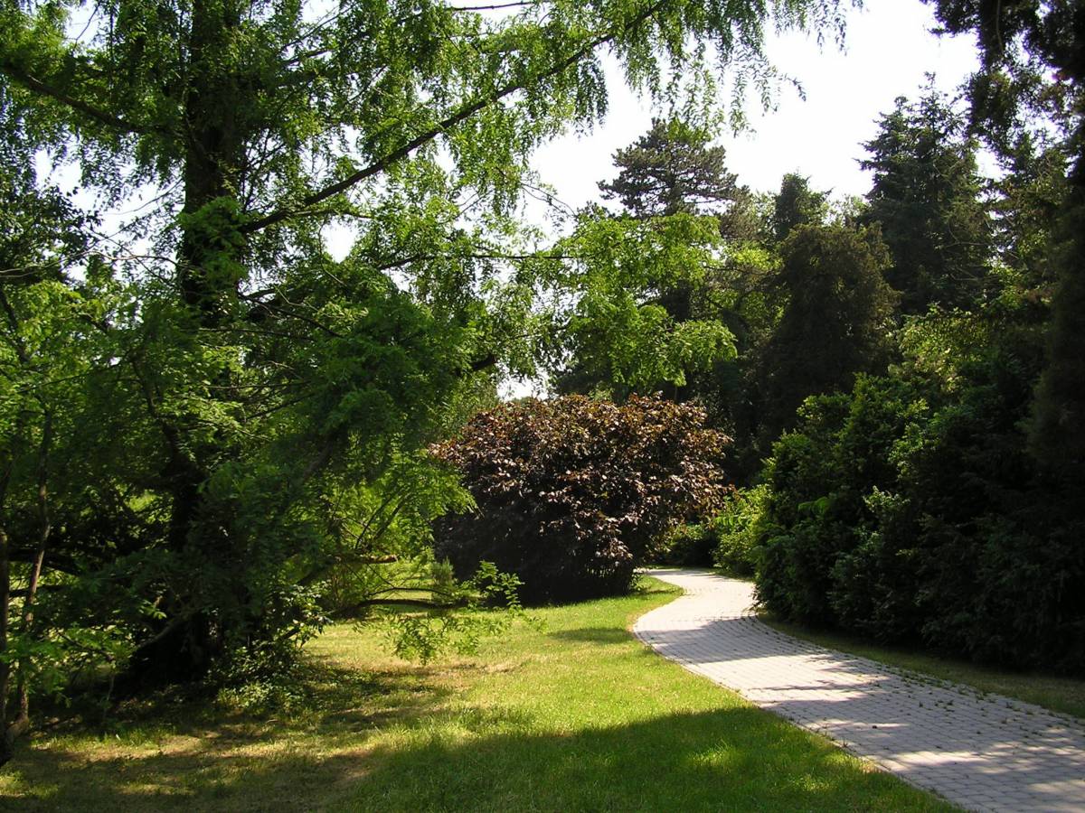 Szarvas legismertebb látnivalója az arborétum •  Fotó: Hanyecz Katalin