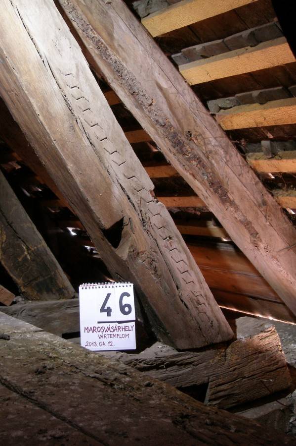 Ácsjelek a marosvásárhelyi Vártemplomban •  Fotó: Dendrolab