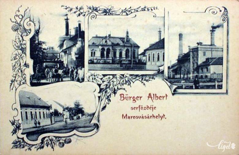 Korabeli képeslap a Bürger-féle sörgyárról 