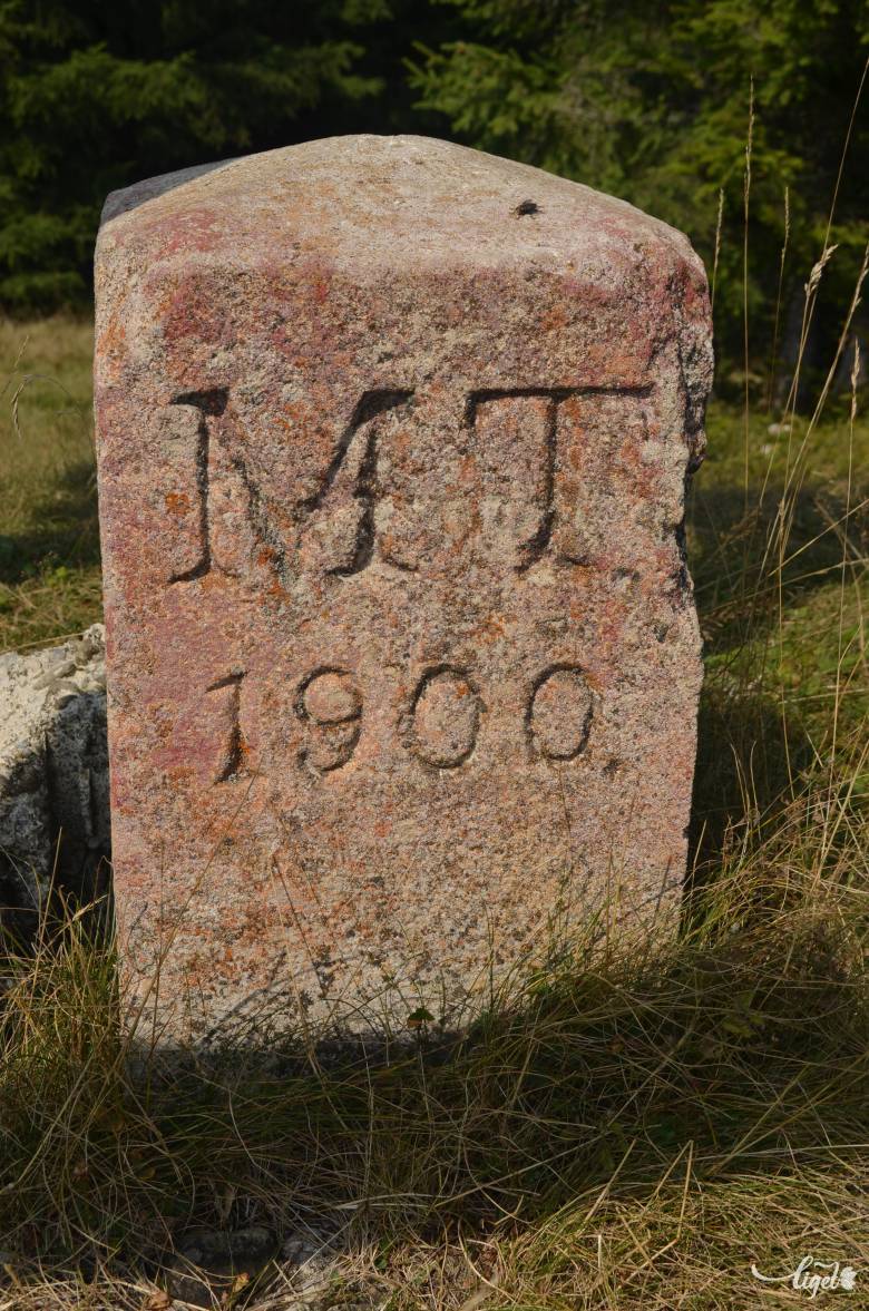 Kőből faragott M.T. 1900 feliratú földmérési alappont •  Fotó: Jánosi Csaba