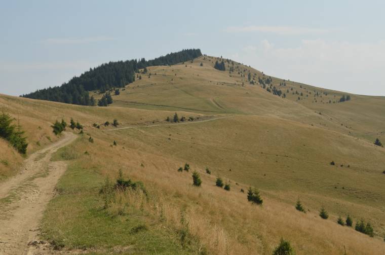 Szellő hátán kirándultunk