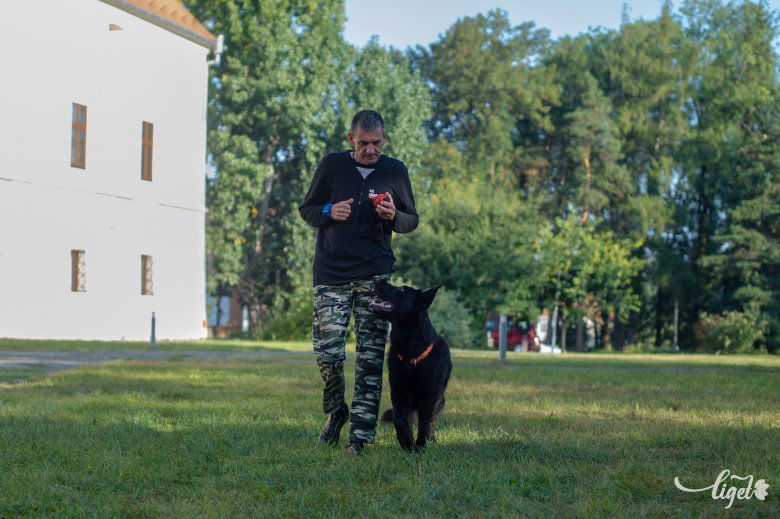 Meg kellett tanulni az embereket is kezelni •  Fotó: Gecse Noémi