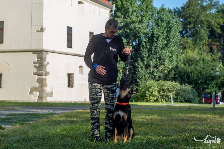 A filmes munkák mindegyikét egyfajta feladatként fogja fel, ahol ő elsősorban a kutyára kell figyeljen •  Fotó: Gecse Noémi