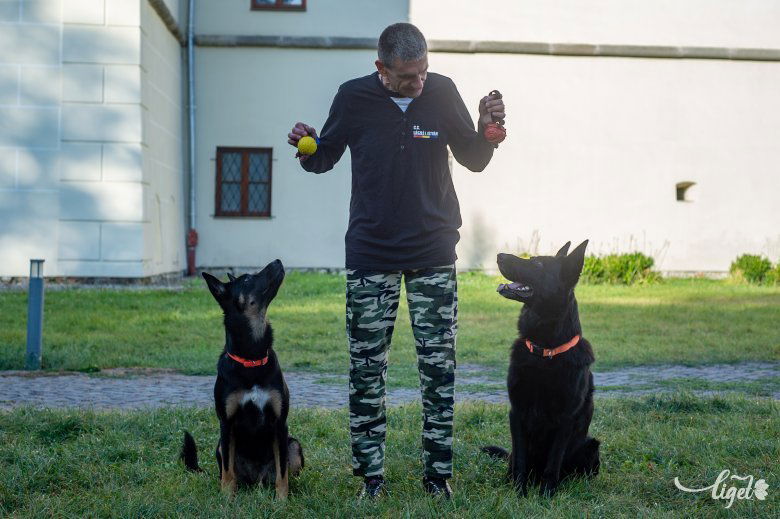 Van olyan színész, amelyik fél a kutyától, és akkor dublőr csinálja meg a jelenetet •  Fotó: Gecse Noémi