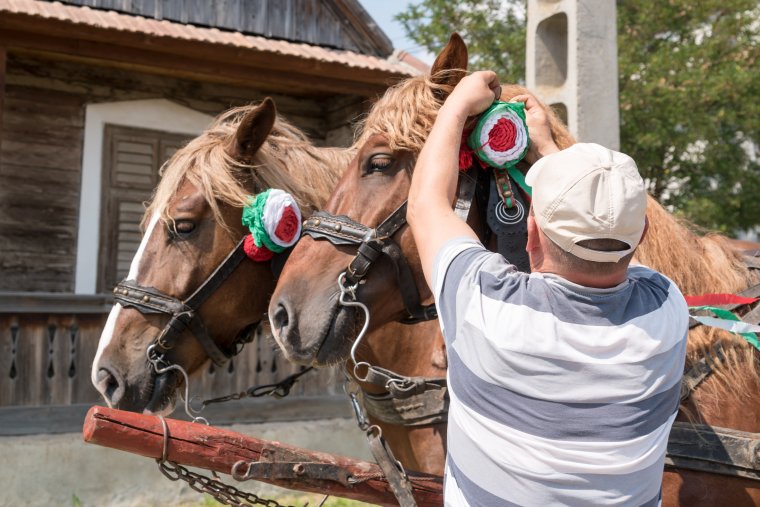 Az életünk láthatatlan valósága, de valóság: a szokás